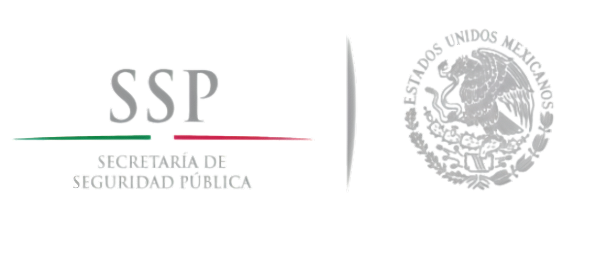 SSP Logo